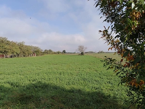 Teren 2.600 mp - deschidere 35m-intrare Pogoanele dinspre Buzau - imagine 2