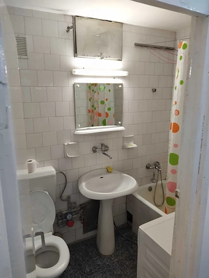 De inchiriat apartament 1 camera in zona Bucovina  - imagine 7