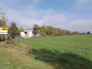 Teren 2.600 mp - deschidere 35m-intrare Pogoanele dinspre Buzau - imagine 3