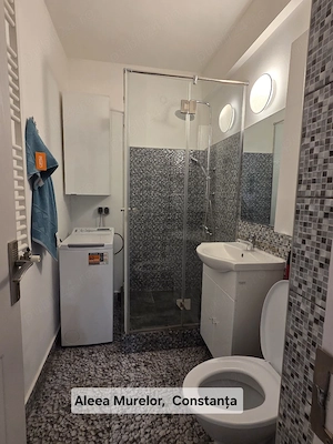ofer spre inchiriere apartamanet Euromaterna - imagine 4