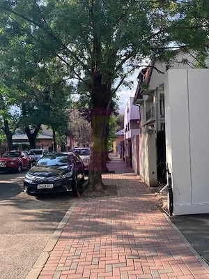 Vanzare apartament 3 camere Piata Alba Iulia adiacent, cu parcare - imagine 4
