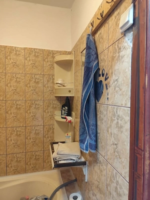 De vanzare apartament 1 camera in zona Calea Aradului - imagine 8