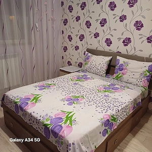 inchiriez o camera pentru o elevă sau studentă  - imagine 3