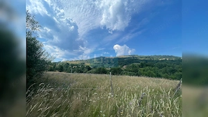 Teren EXTRAVILAN TURISTIC 8.355 mp, Vlădeasa, Vișagu, jud. Cluj. - imagine 3
