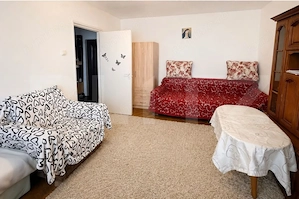 Apartament 2 camere, 48 mp, etaj 7/10 cu lift, vedere superbă la parc – Micro 1 - imagine 3
