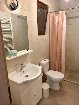 Casa tip duplex de inchiriat in Bucovat - imagine 4