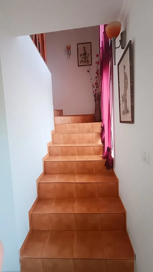 Se vinde casă deosebită în comuna Gavojdia - imagine 3