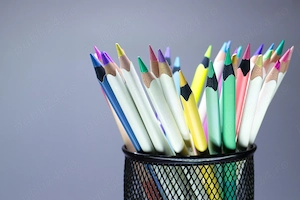 Meditații română, istorie, geografie, logică, sociologie pentru bac