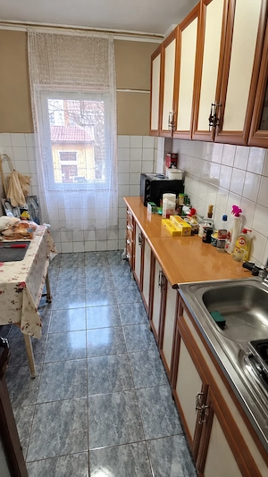 Apartament 2 camere de vânzare în Băile Herculane, etaj 1, zona Pieței - imagine 3