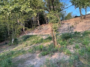 vind teren linga oras Cluj in xona Faget Sud  zona agreata pt relaxare a clujenilor - imagine 4