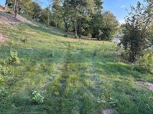 vind teren linga oras Cluj in xona Faget Sud  zona agreata pt relaxare a clujenilor - imagine 2