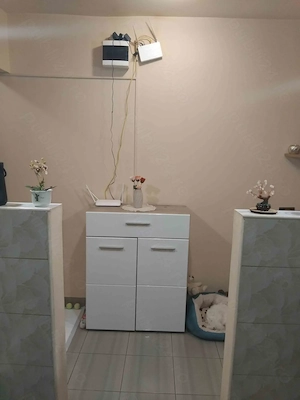 Apartament 2 camere, etaj1, Micalaca, zona Orizont! - imagine 5