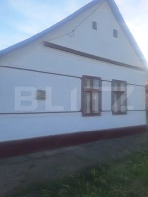 Vand casa Comuna Nitchidorf Judetul Timis - imagine 15