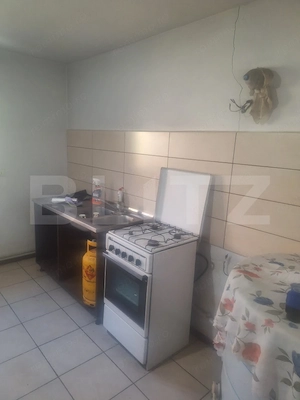 Vand casa Comuna Nitchidorf Judetul Timis - imagine 19