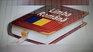  MEDIȚAȚII - Limba și literatura română   BUCUREȘTI, Zona Dristor, Sector 3