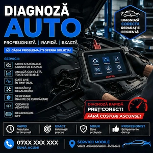 Diagnoza Auto Profesională Multimarcă   Ștergere Erori (La domiciliu sau locație fixă)