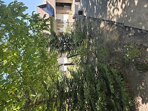 Vând casa comuna Cudalbi - imagine 5