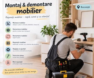 Montaj & demontare mobilier