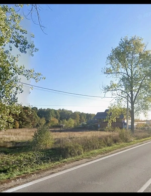 Teren intravilan construibil DN7 Lintesti 5500mp - imagine 4