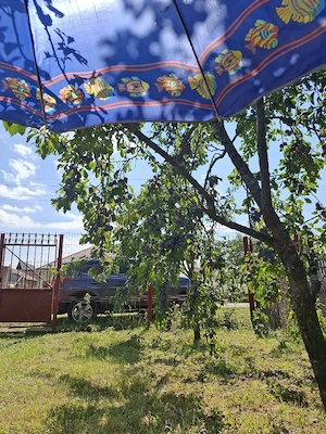 Curte Construcție cu pomi fructiferi