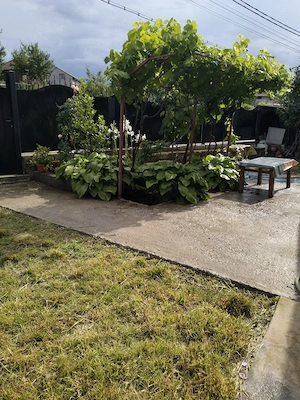 Casă de vacanță 