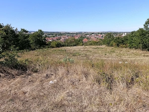 Teren extravilan (front intravilan) 3016 mp | Sebiș, jud. Arad - imagine 4