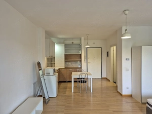 Inchiriez Apartament cu 1 camera tip Studio (mare) 45mp, terasa 7mp - imagine 8