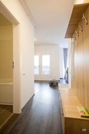 Inchiriez apartament 1.5 camere Vivalia Take Ionescu - imagine 8