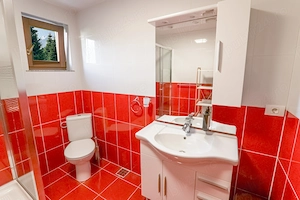 Vila de inchiriat cu ciubar inclus pentru grupuri - imagine 9