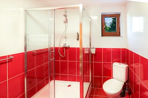 Vila de inchiriat cu ciubar inclus pentru grupuri - imagine 10