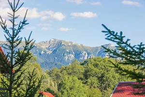 Vila de inchiriat cu ciubar inclus pentru grupuri - imagine 19