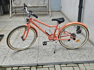 Bicicletă Riverse Bitwin 20'