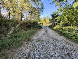 Teren extravilan 1200 mp in Sibiel langa Sibiu - ideal investitie - imagine 4