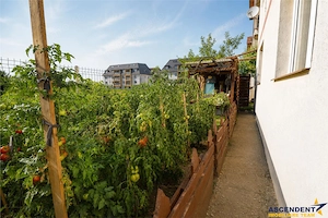 Apartament 2 camere decomandat, cu terasa, gradina si parcare privata: Tractorul, Coresi - imagine 15