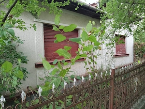 Casa de vânzare + teren