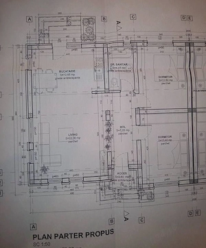 Duplex, Sacalaz, vatra satului, P+Pod mansardabil, 3 camere, 250mp teren, mobilata,  com=0%. - imagine 2