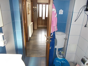 Duplex, Sacalaz, vatra satului, P+Pod mansardabil, 3 camere, 250mp teren, mobilata,  com=0%. - imagine 18