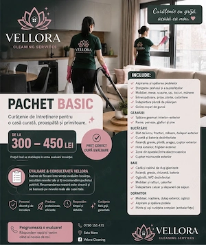 Servicii de curațenie