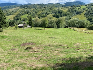 Parcelele 10 - 40 ari | zonă montană deosebită | de la 5,5   m , negociabil, Campulung Moldovenesc - imagine 2