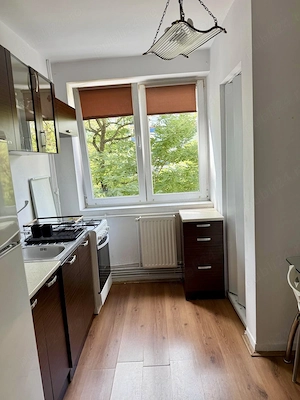 Inchiriez Apartament 2 camere, 55mp, Gheorgheni (5 min de Iulius Mall) - imagine 9