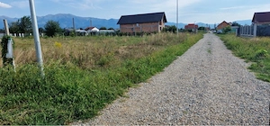 Teren intravilan 1200 mp, deschidere 14 ml in Avrig, judet Sibiu - imagine 5