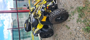 Vand atv  Can-Am - imagine 3