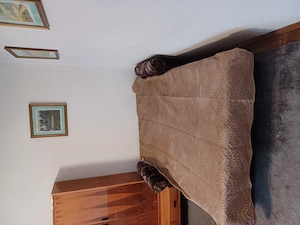 Proprietar inchiriez apartament decomandat cu o camera ultracentral Medicina - imagine 2