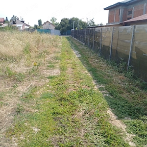 Teren intravilan--500 mp--Draganescu,Giurgiu--23m deschidere--19000 euro--negociabil - imagine 4