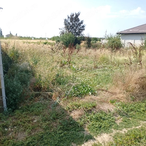 Teren intravilan--500 mp--Draganescu,Giurgiu--23m deschidere--19000 euro--negociabil - imagine 7