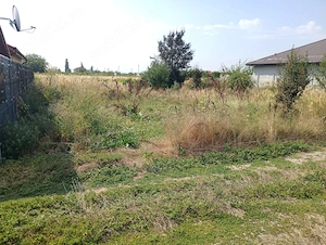 Teren intravilan--500 mp--Draganescu,Giurgiu--23m deschidere--19000 euro--negociabil - imagine 8