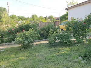 Vand casa Tămăoani Județul Galati - imagine 3