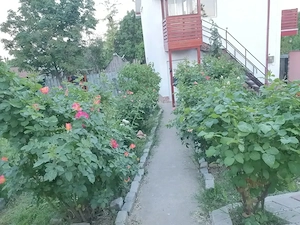 Vand casa Tămăoani Județul Galati - imagine 2