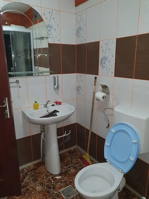 Vand casa Tămăoani Județul Galati - imagine 7