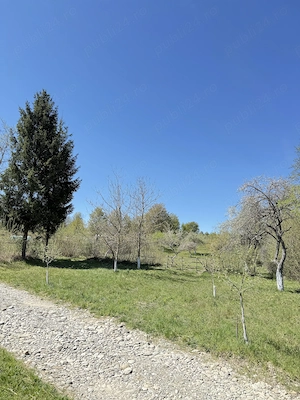 Teren de vânzare in satul Breb, Maramures